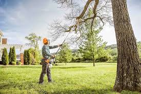 Best Weed Control  in Torrance, CA